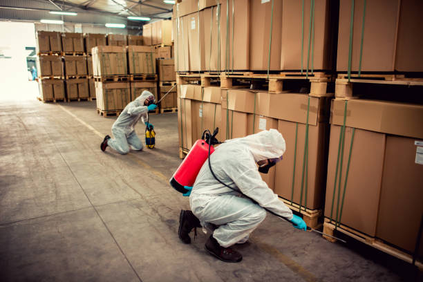 Best Emergency Pest Control  in Carson City, MI