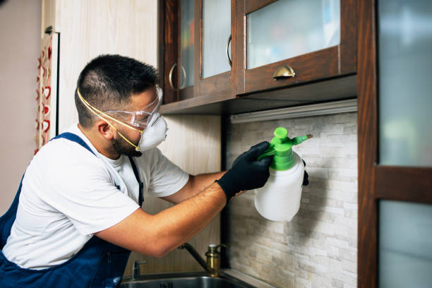 Reliable Carson City, MI Pest Control Solutions