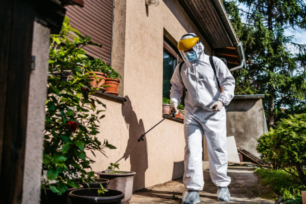 Best Pest Prevention Services  in Carson City, MI