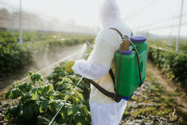 Best Insect Control  in Carson City, MI